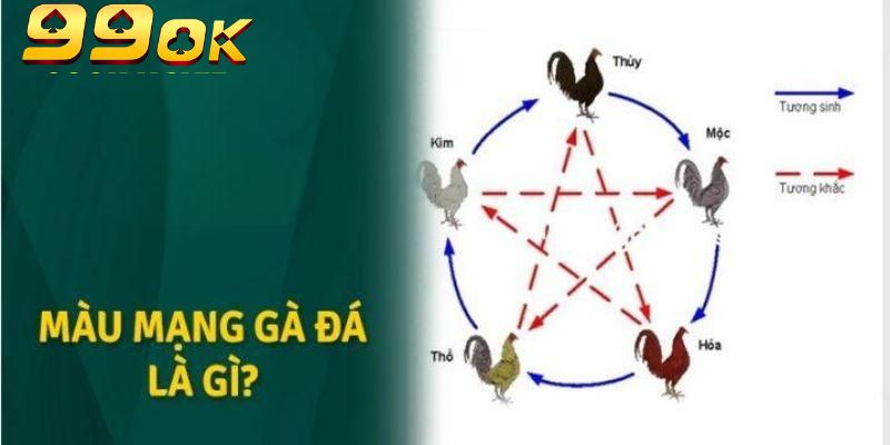 Màu Mạng Đá Gà Theo Ngũ Hành: Chọn Chuẩn – Đá Đỉnh Tại 99OK 3 Gà đen thuộc nhóm màu mạng khá hiếm